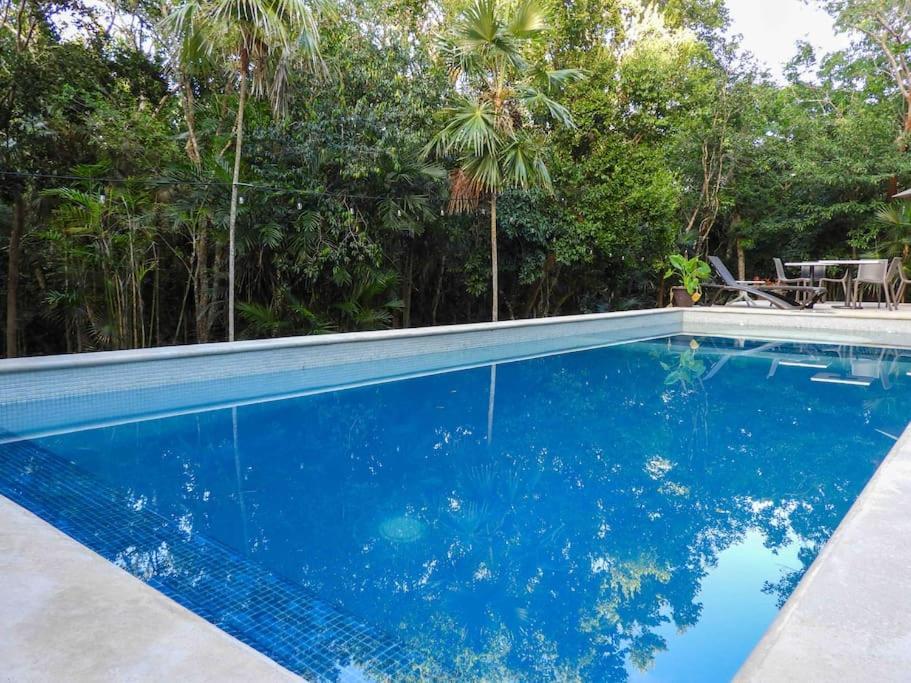 Aku-Chic Newly Furbished Condo Jungle Pool 시트나 외부 사진